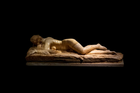 Hermaphrodite Gallery Hermaphrodite Gallery